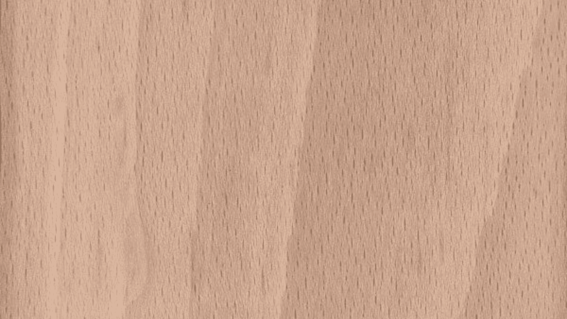 beech wood