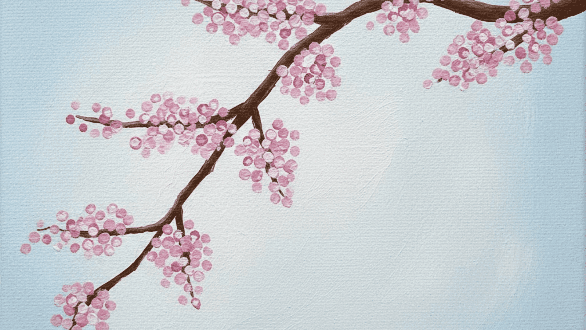 cherry blossom branch