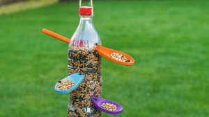 Easy DIY Bird Feeder Guide and 17 Ideas to Try at Home