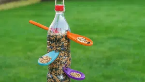 Easy DIY Bird Feeder Guide and 17 Ideas to Try at Home
