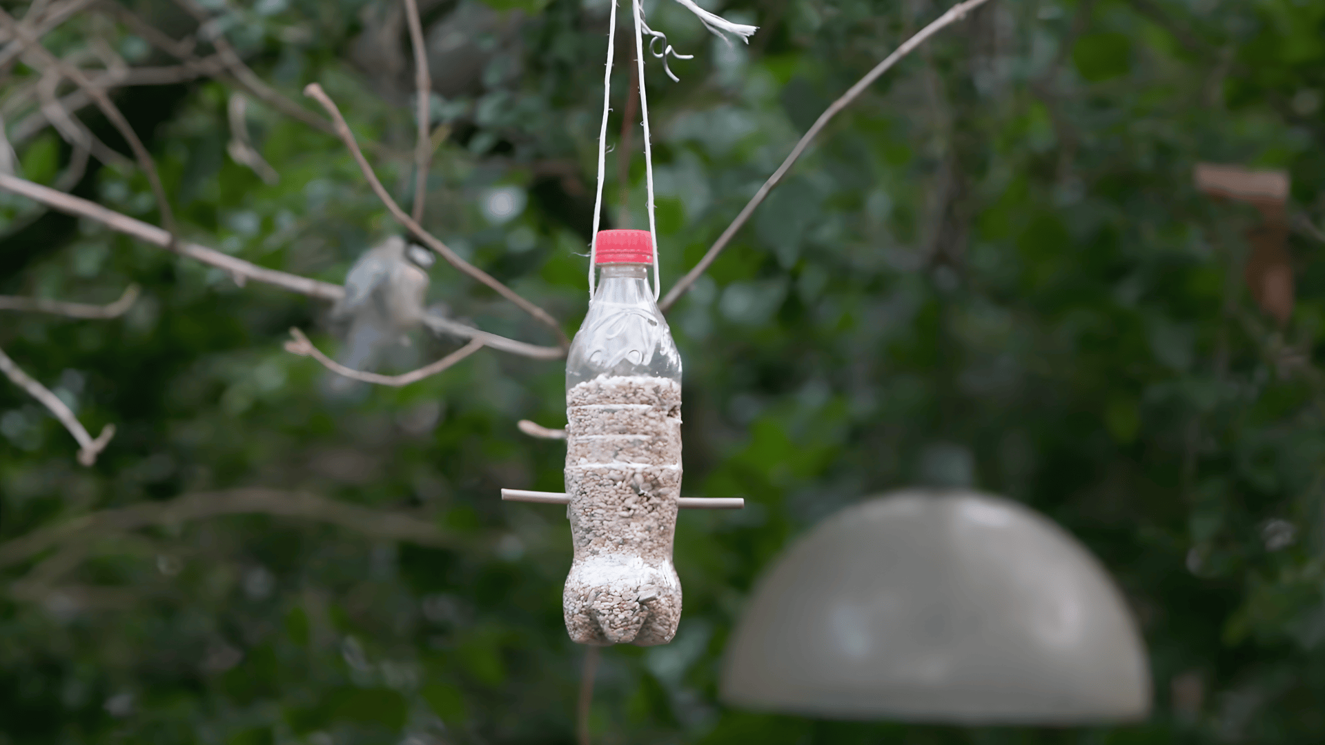 Fill and Hang Your Feeder