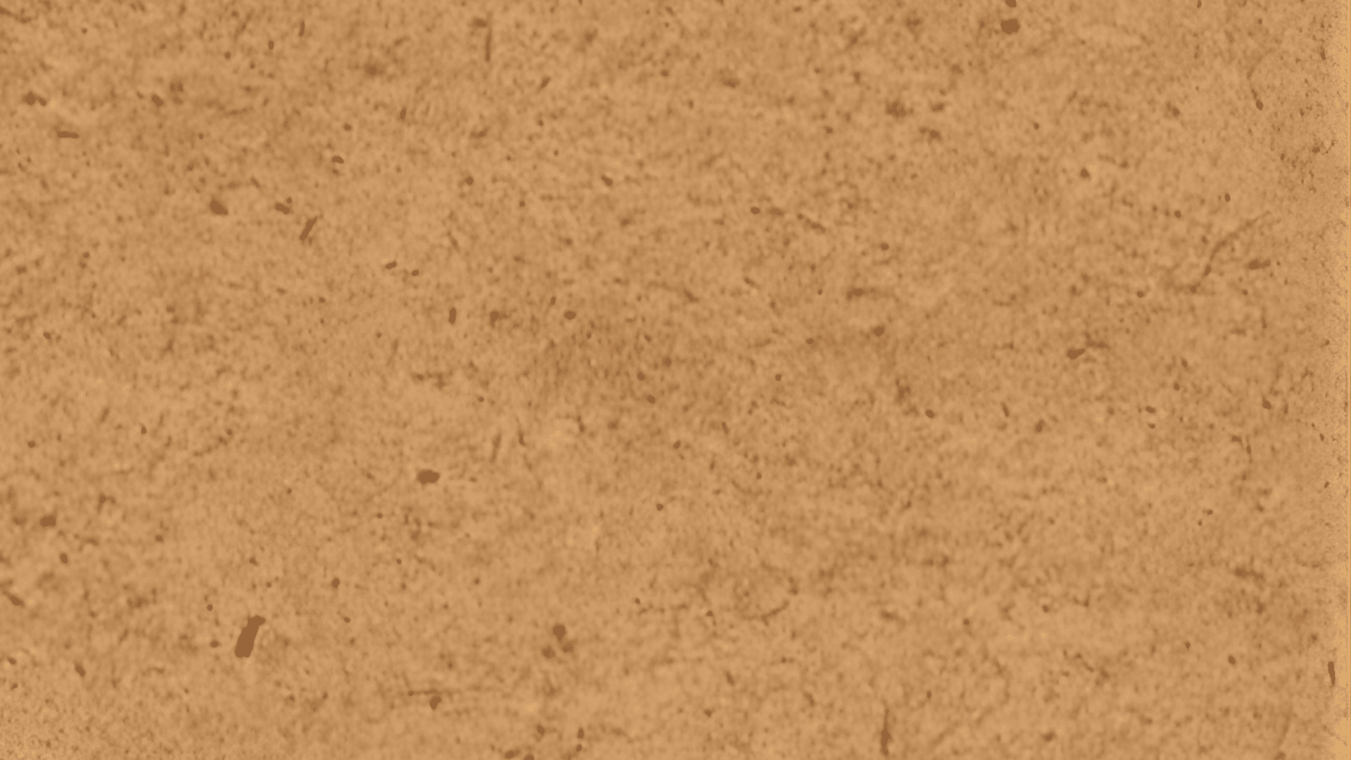 hdf high density fiberboard