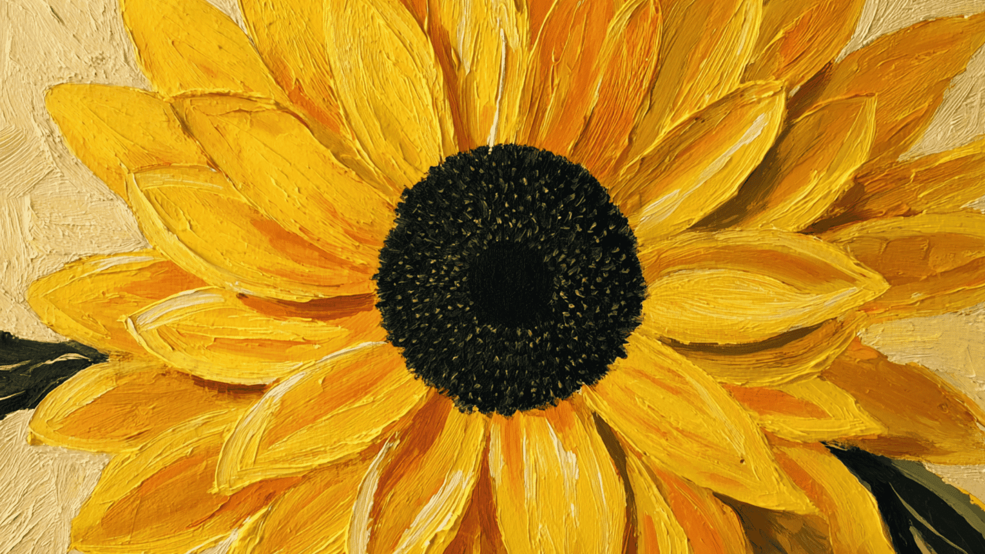 sunflower close up