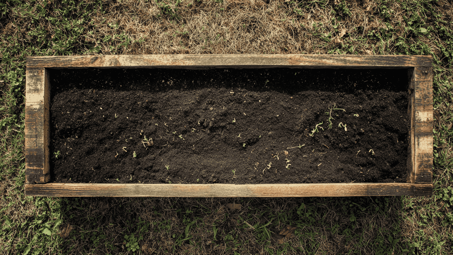top layer soil or fine compost sheet mulching layering technique