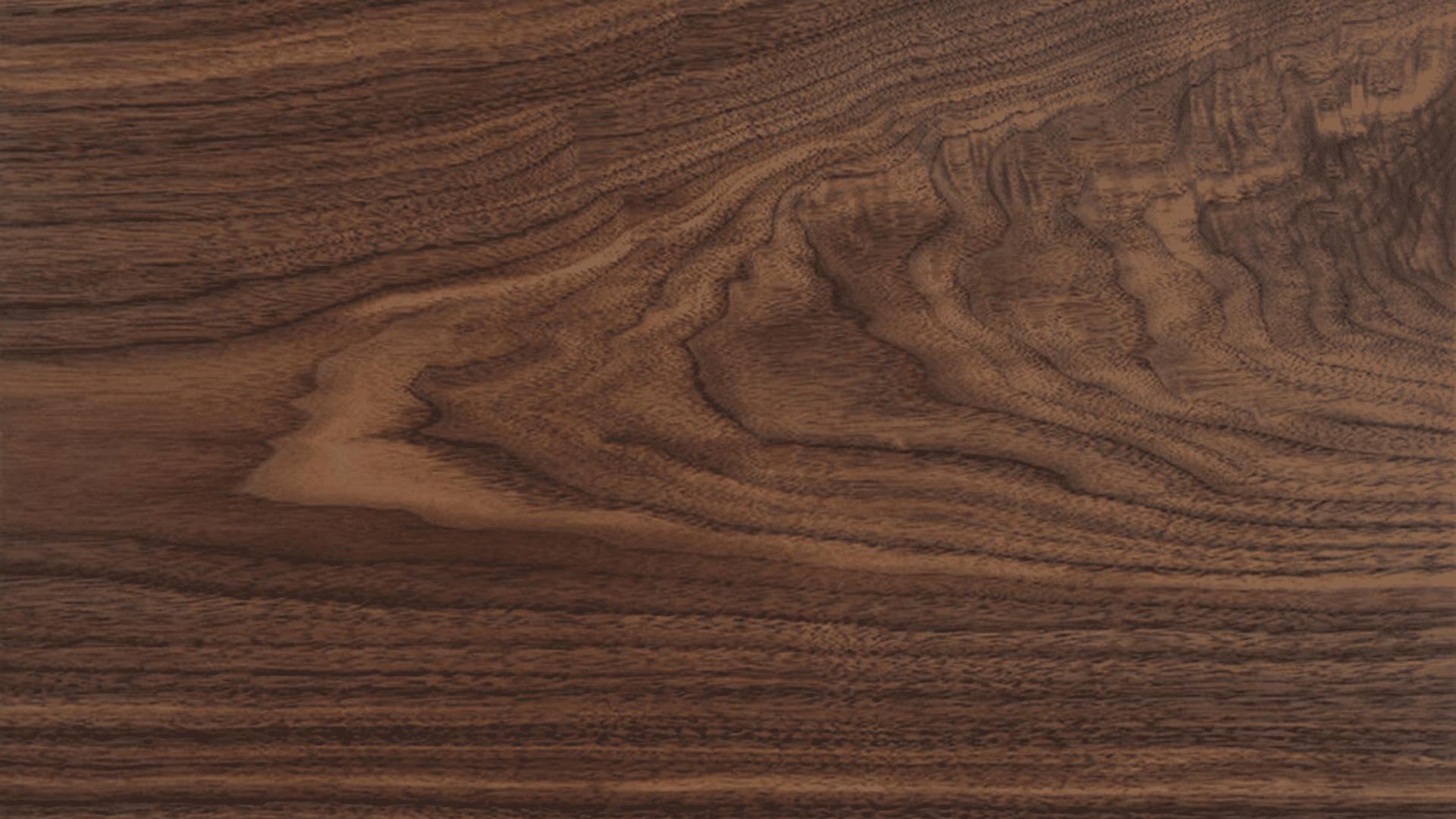 walnut wood