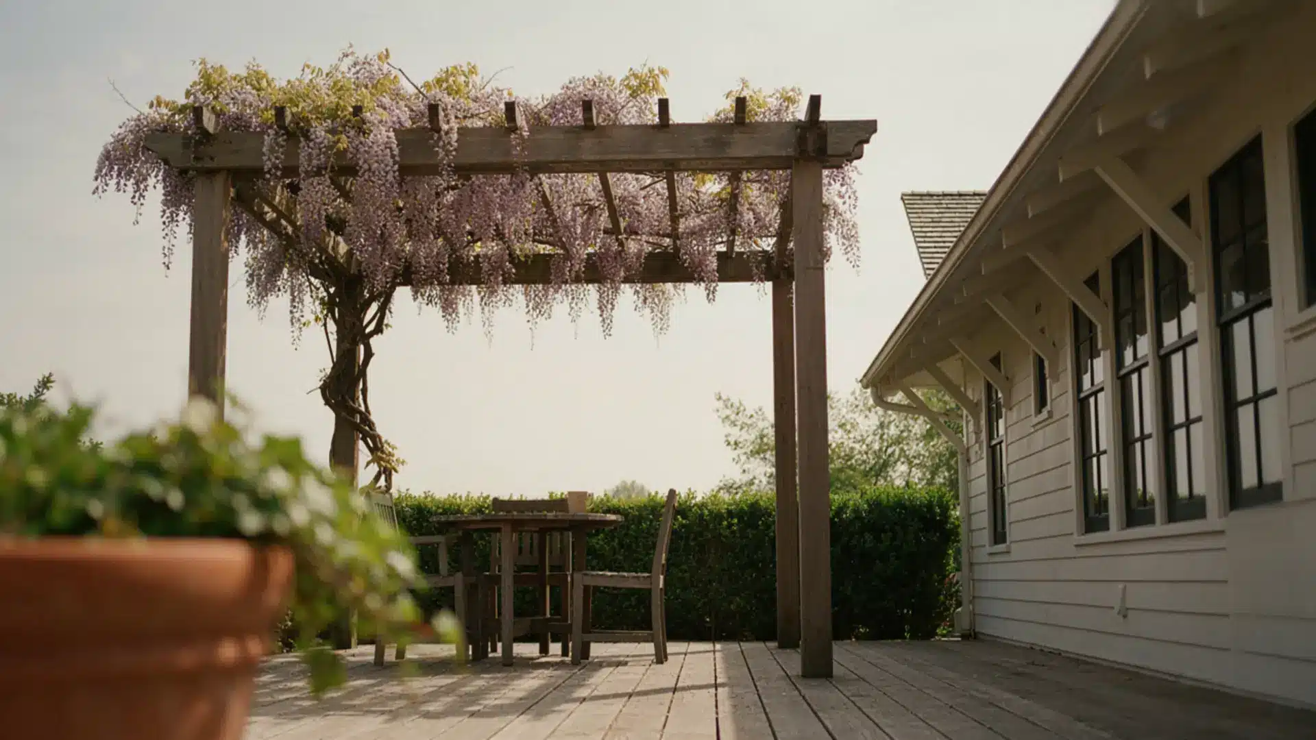Wooden open-top pergola covered with blooming purple wisteria vines over a patio table.