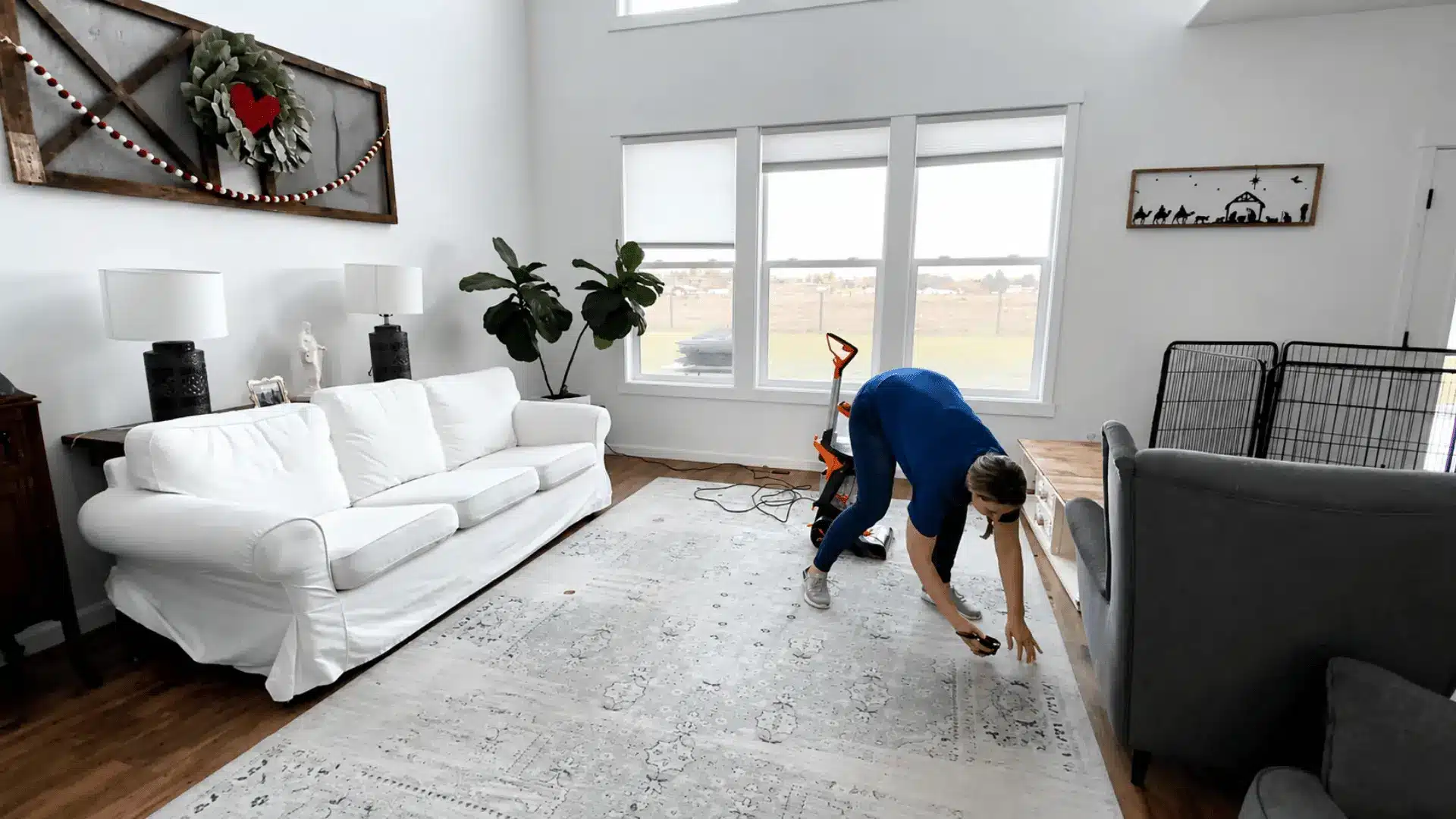 Person pre-treating stains on a large area rug before carpet shampooing in a bright living room with a carpet cleaner nearby.