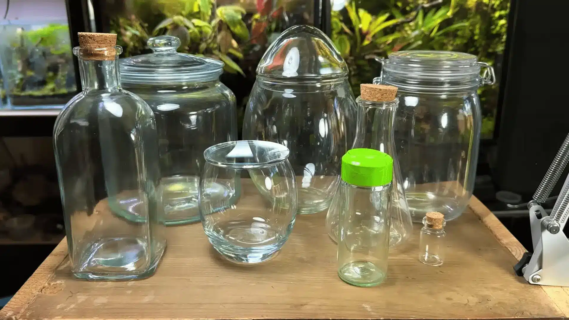 Assorted glass jars, bottles, and containers with lids and corks displayed on a wooden table for terrarium building