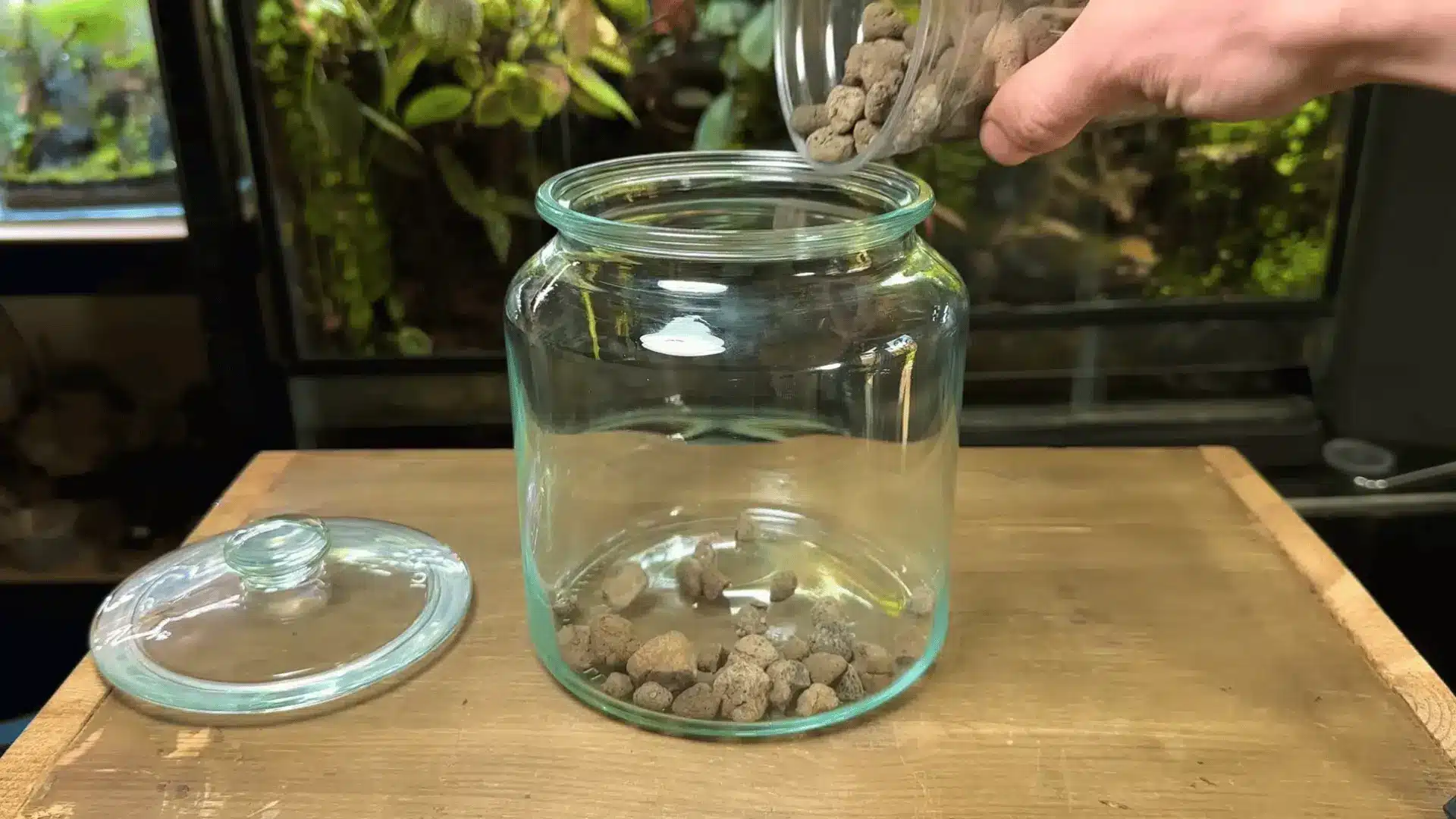 Hand pouring LECA drainage stones into a glass jar to create a base layer for a terrarium, with lid beside on wooden table setup