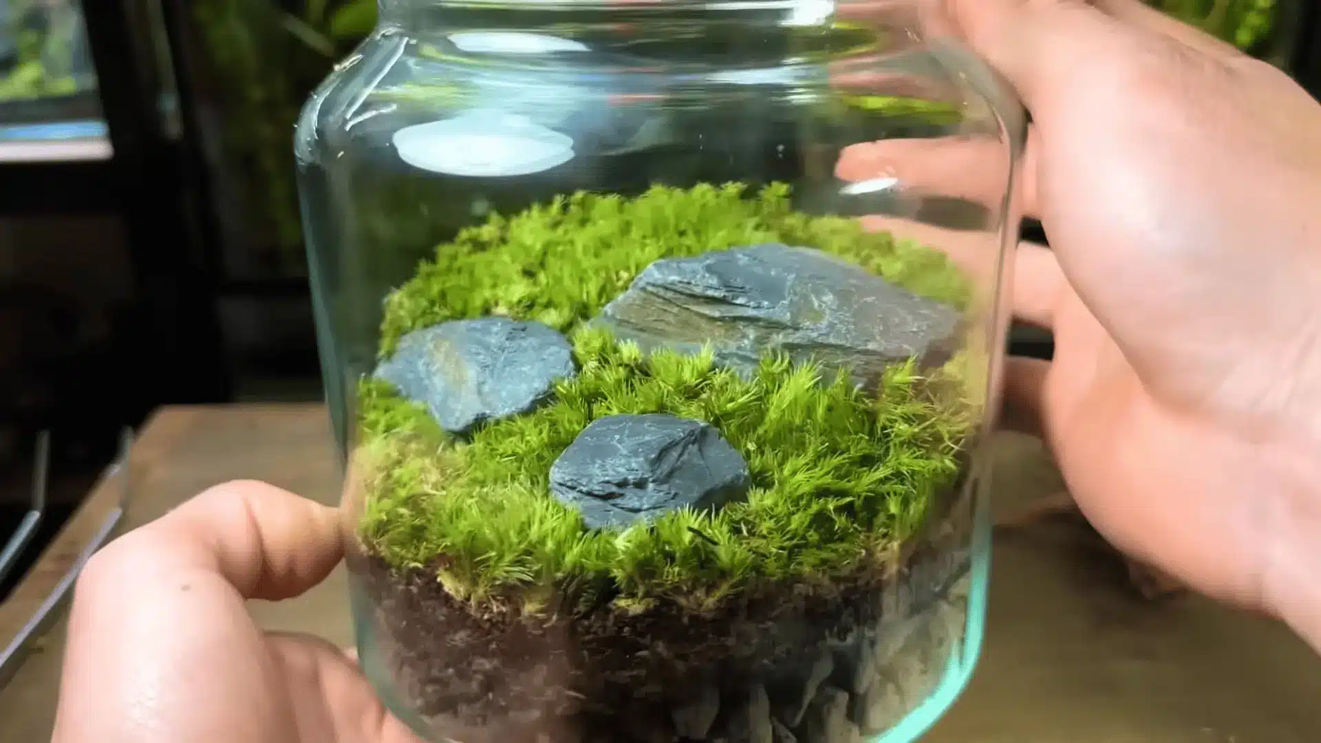 Hands placing moss and slate stones inside a glass jar terrarium, forming a natural hardscape base layer over soil.
